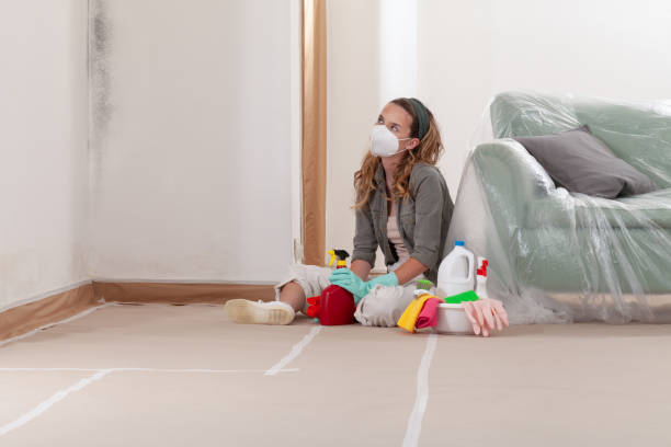 Reliable Black Mold Remediation contractor in Ho-Ho-Kus, NJ by Mold Remediation HQ